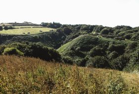 Countryside surroundings
