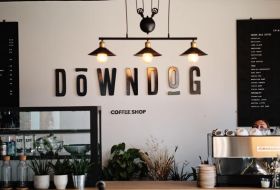Downdog Jersey