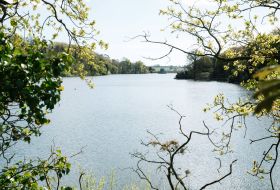 Viewpoint through the trees overlooking Queen