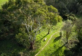 Val de la Mare Reservoir