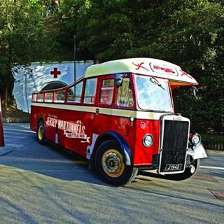 Jersey Bus & Coach Tours | Activity | Visit Jersey