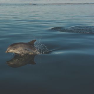 Jersey Bus & Coach Tours | Activity | Visit Jersey