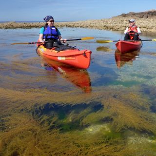 Reconnect with nature on a sea kayak tour.