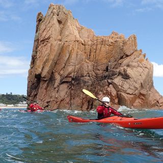 Sea Kayak Tour