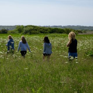 jersey national park