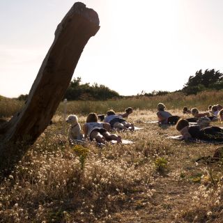 Outdoor yoga class
