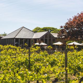 Vineyards at La Mare Wine Estate