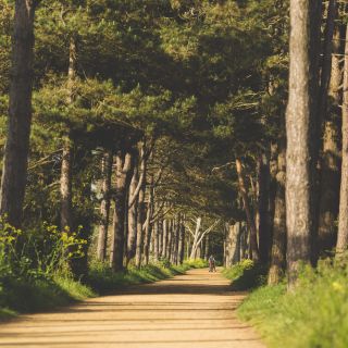 The Railway Walk