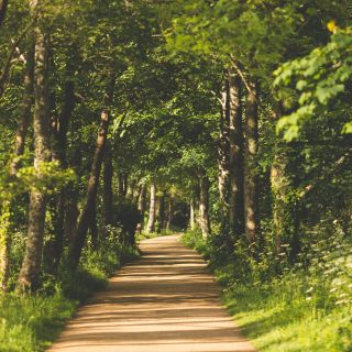The Railway Walk