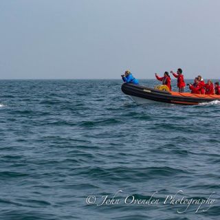 Island RIB Voyages