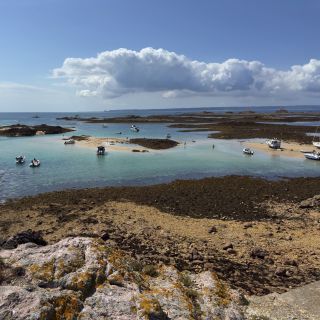 Ecrehous - Island RIB Voyages Ecrehous Wildlife RIB Boat Trip