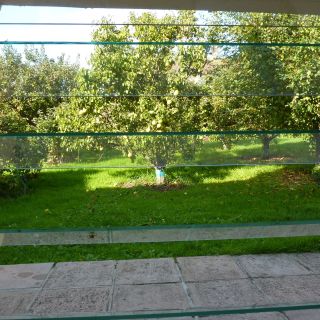 View from the kitchen