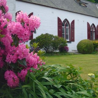 Garden and front of house