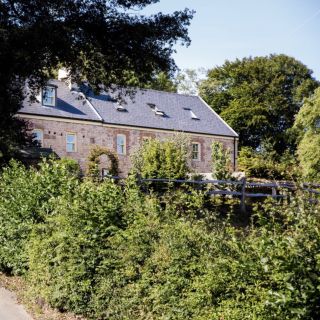 Home amongst the tea