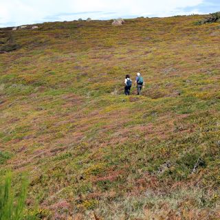 Hikers on Channel Island Way - Jersey - Walkers
