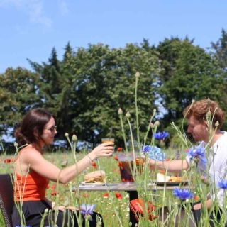 magical meadow at la mare wine estate