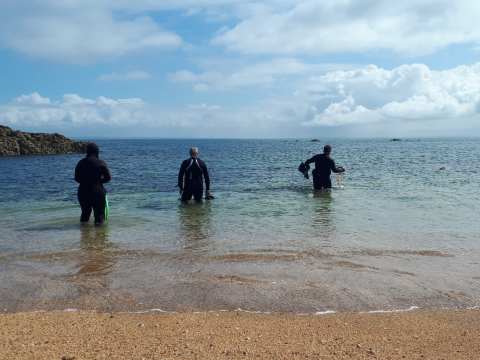 Snorkelers enter the water