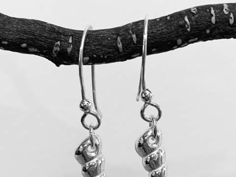 Shell Earrings