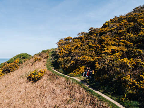 Cliff paths in the Jersey National Park