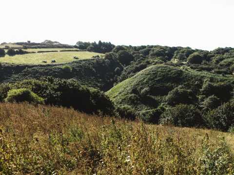 Countryside surroundings