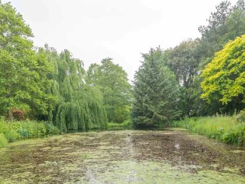 Surroundings