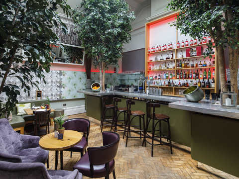 A quirky bar area with stools, chairs and indoor plants