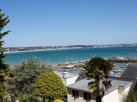 View from top of garden