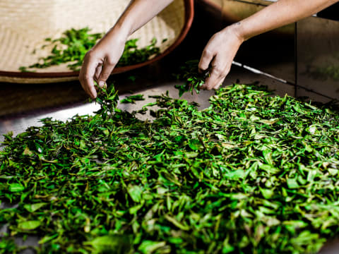 Tea leaves cooling at Jersey Fine Tea