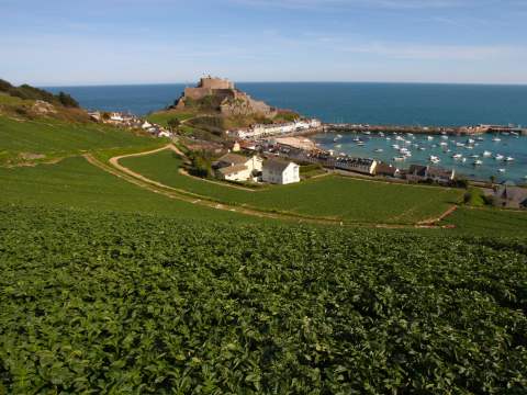 Gorey