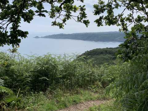 Overlooking Bouley Bay & White Rock on the North Coast