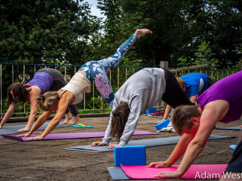 forward bends in a yoga class