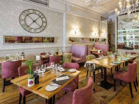 A bright dining area with chic upholstered chairs