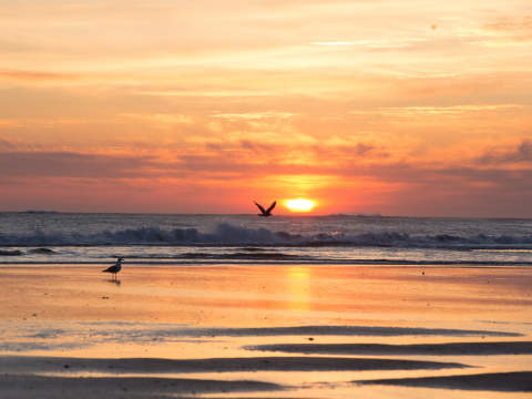 Sunset at St. Ouen's Bay Jersey