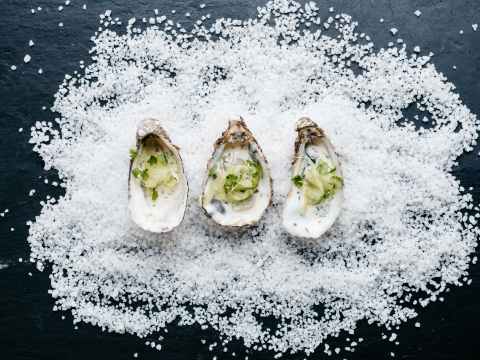Jersey Oysters