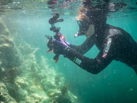 A person snorkelling on the Bouley Bay trail