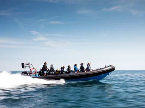 Jersey Seafaris boat trip