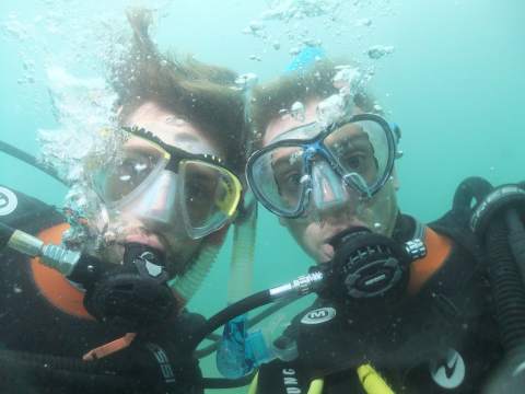 Divers underwater