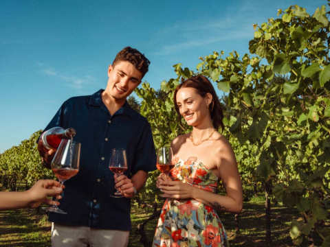 Field to Glass drinking sustainable wine by the vines at La Mare Wine Estate