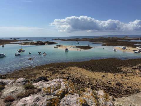 Ecrehous - Island RIB Voyages Ecrehous Wildlife RIB Boat Trip