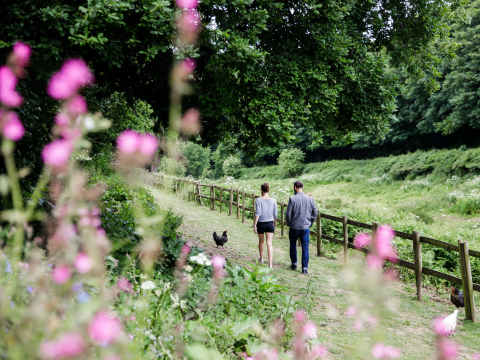 Couple walk in the meadow at Hamptonne