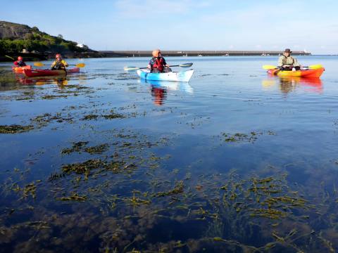 Kayakers paddling on a clear sea