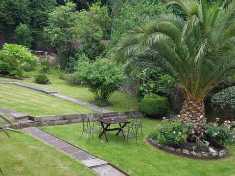 Property's garden