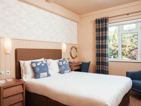 Single Inland Room