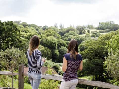 Taking it all in - tea field cottages