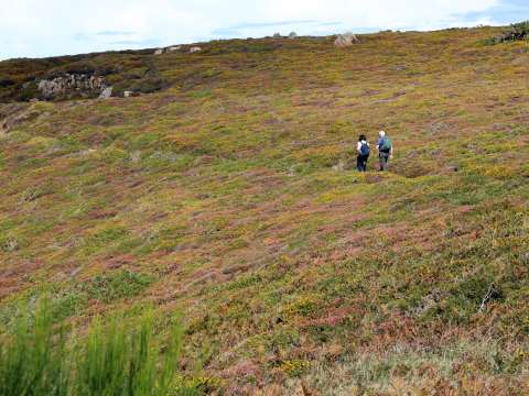 Hikers on Channel Island Way - Jersey - Walkers' Britain