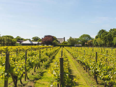 La Mare Wine Estate