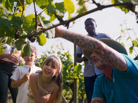 Winemaker Tours and Tastings in the vines with a family at La Mare Wine Estate, Jersey