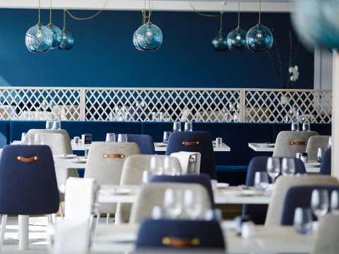 A bright dining room with modern upholstered chairs