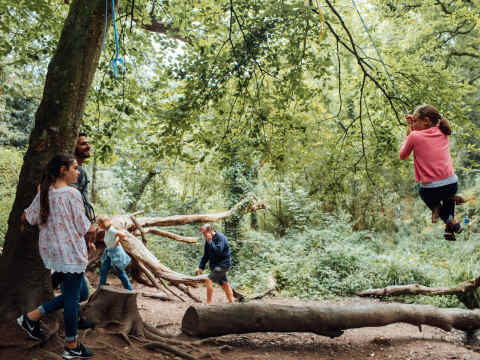 St. Catherine's Woods