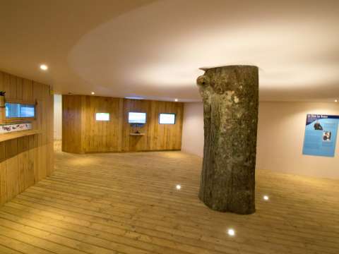 The National Trust for Jersey Wetland Centre